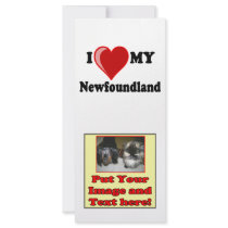 I Love (Heart) My Newfoundland Dog rack cards