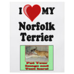 I Love (Heart) My Norfolk Terrier Dog flyers