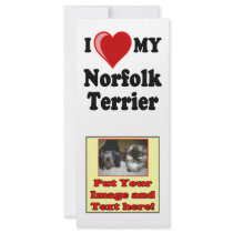 I Love (Heart) My Norfolk Terrier Dog rack cards by CatnDog I Love (Heart) My Norfolk Terrier Dog rack cards