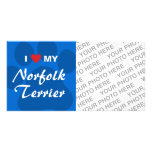 I Love (Heart) My Norfolk Terrier Photo Cards