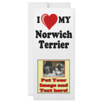 I Love (Heart) My Norwich Terrier Dog rack cards by CatnDog I Love (Heart) My Norwich Terrier Dog rack cards