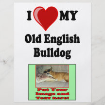I Love (Heart) My Old English Bulldog Dog Full Color Flyer