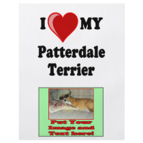 I Love (Heart) My Patterdale Terrier Dog flyers