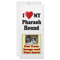 I Love (Heart) My Pharaoh Hound Dog rack cards