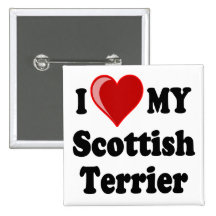I Love (Heart) My Scottish Terrier Dog Gifts Pinback Button