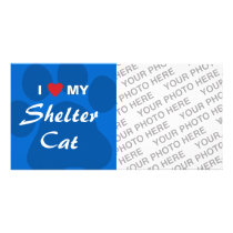 I Love (Heart) My Shelter Cat Customized Photo Card