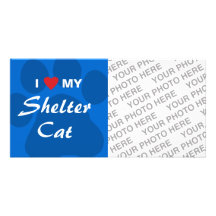I Love (Heart) My Shelter Cat Customized Photo Card