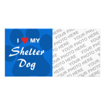 I Love (Heart) My Shelter Dog Photo Card Template