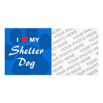 I Love (Heart) My Shelter Dog Photo Card Template