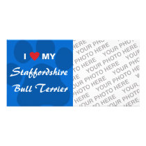 I Love (Heart) My Staffordshire Bull Terrier Photo Cards