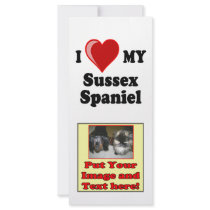 I Love (Heart) My Sussex Spaniel Dog rack cards