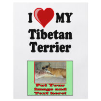 I Love (Heart) My Tibetan Terrier Dog flyers