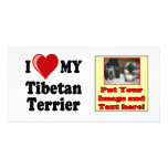 I Love (Heart) My Tibetan Terrier Dog Picture Card