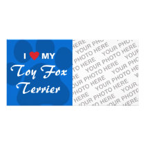 I Love (Heart) My Toy Fox Terrier Photo Cards