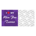 I Love (Heart) My Wire Fox Terrier photo cards
