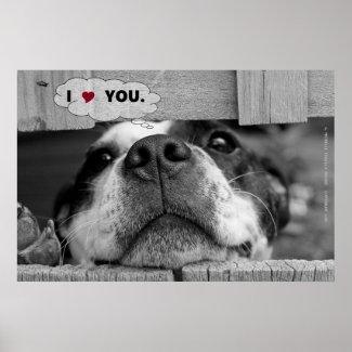 "I Love/Heart You.", Dog's Snout