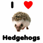 I love hedgehogs acrylic cut outs