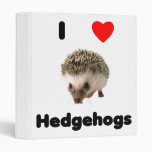 I love hedgehogs binders