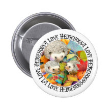 I Love Hedgehogs Button