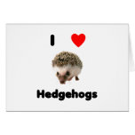 I love hedgehogs cards