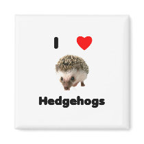 I love hedgehogs Magnet by towalj I love hedgehogs Magnet