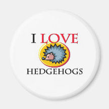 I Love Hedgehogs Magnet