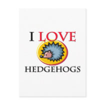I Love Hedgehogs postcards