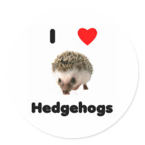 I love hedgehogs Sticker by towalj I love hedgehogs Sticker