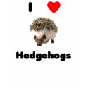 I love hedgehogs T-Shirt