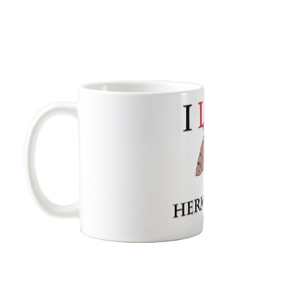 I Love Hermit Crabs Mug by tshirtshirts