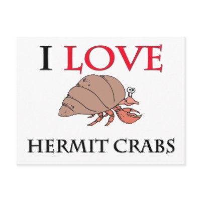 I Love Hermit Crabs Post Cards by tshirtshirts