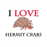 I Love Hermit Crabs Shirt