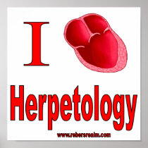 I love herpetology print