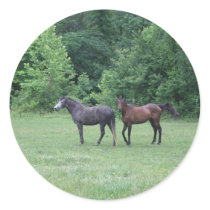 I love horses! again stickers by bluebirdcanflyphotos I love horses! again stickers