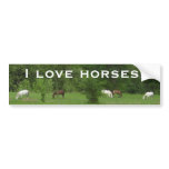 I Love Horses! Bumper Sticker
