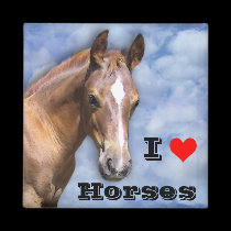 I love Horses magnets