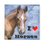 I love Horses Magnets