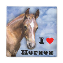 I love Horses Magnets