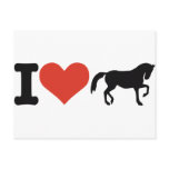 I love Horses Post Card
