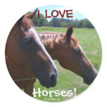 I Love Horses! Sticker