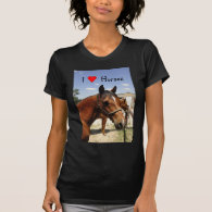 I love horses t shirts