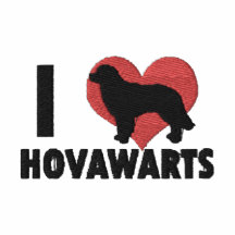 I Love Hovawarts Embroidered Long Sleeve T-Shirt
