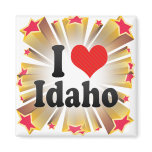 I Love  Idaho Magnet