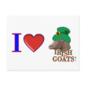 I Love Irish Goats - ST. PATRICK'S DAY GIFT postcards