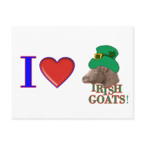I Love Irish Goats - ST. PATRICK'S DAY GIFT postcards by GoatLady I Love Irish Goats - ST. PATRICK'S DAY GIFT postcards
