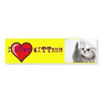i love kittens bumper sticker