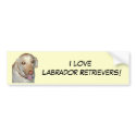 I love Labrador Retrievers! Bumper Sticker bumper stickers