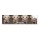 I Love Labs! bumper stickers