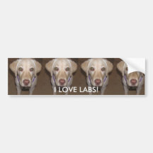 I Love Labs! Bumper Sticker