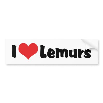 I Love Lemurs